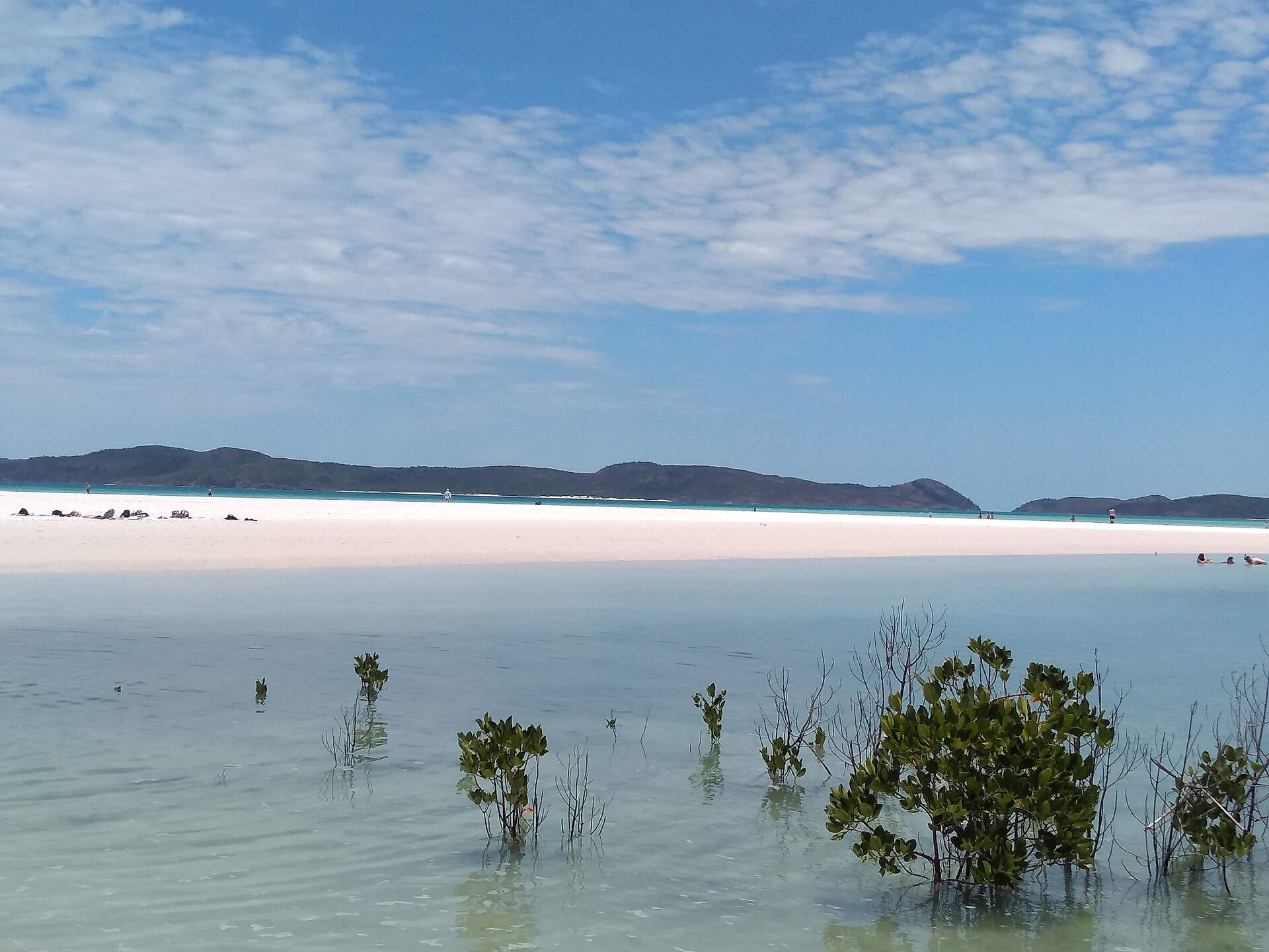 Butterfly Bay