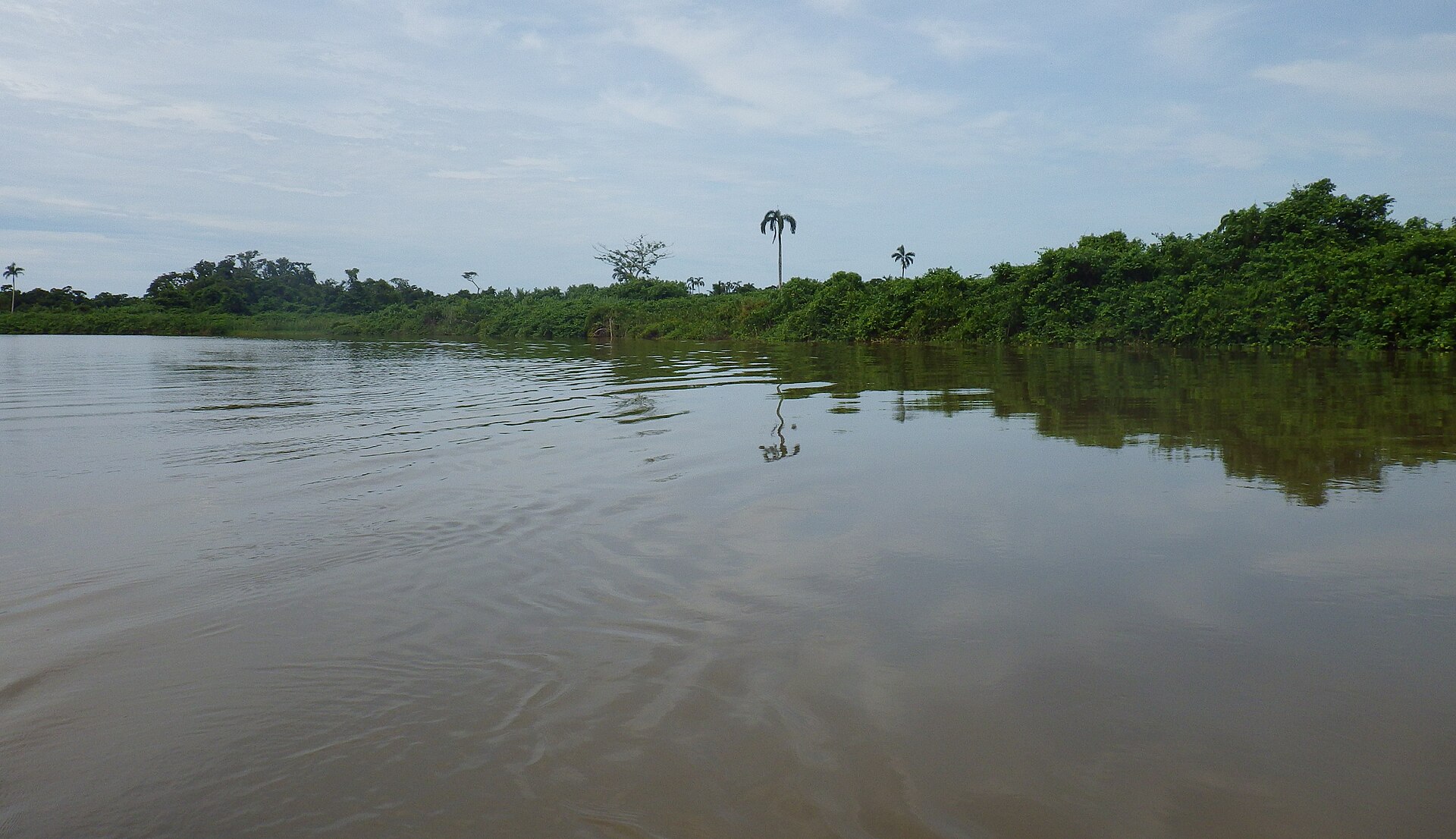 Monkey River