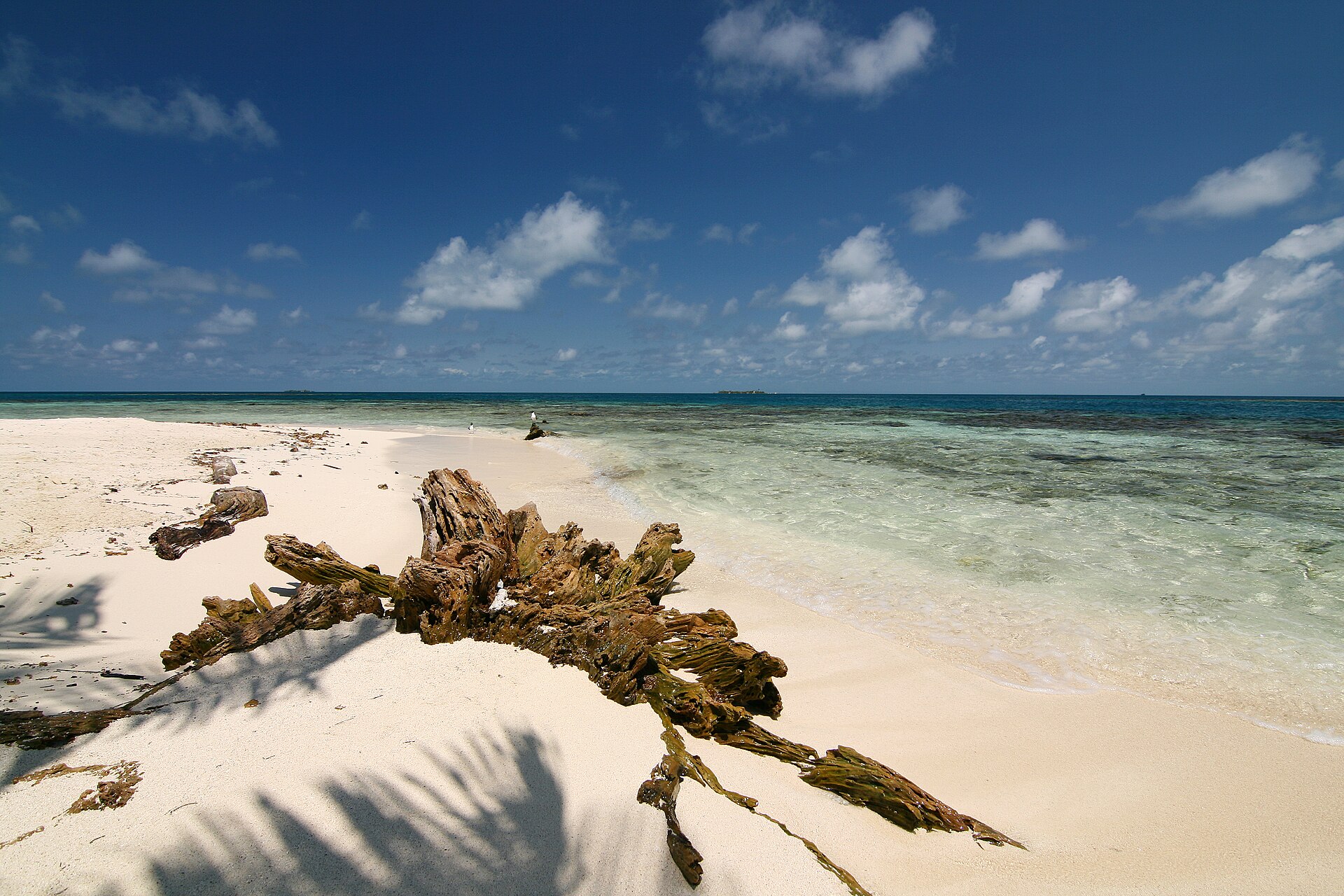 Placencia