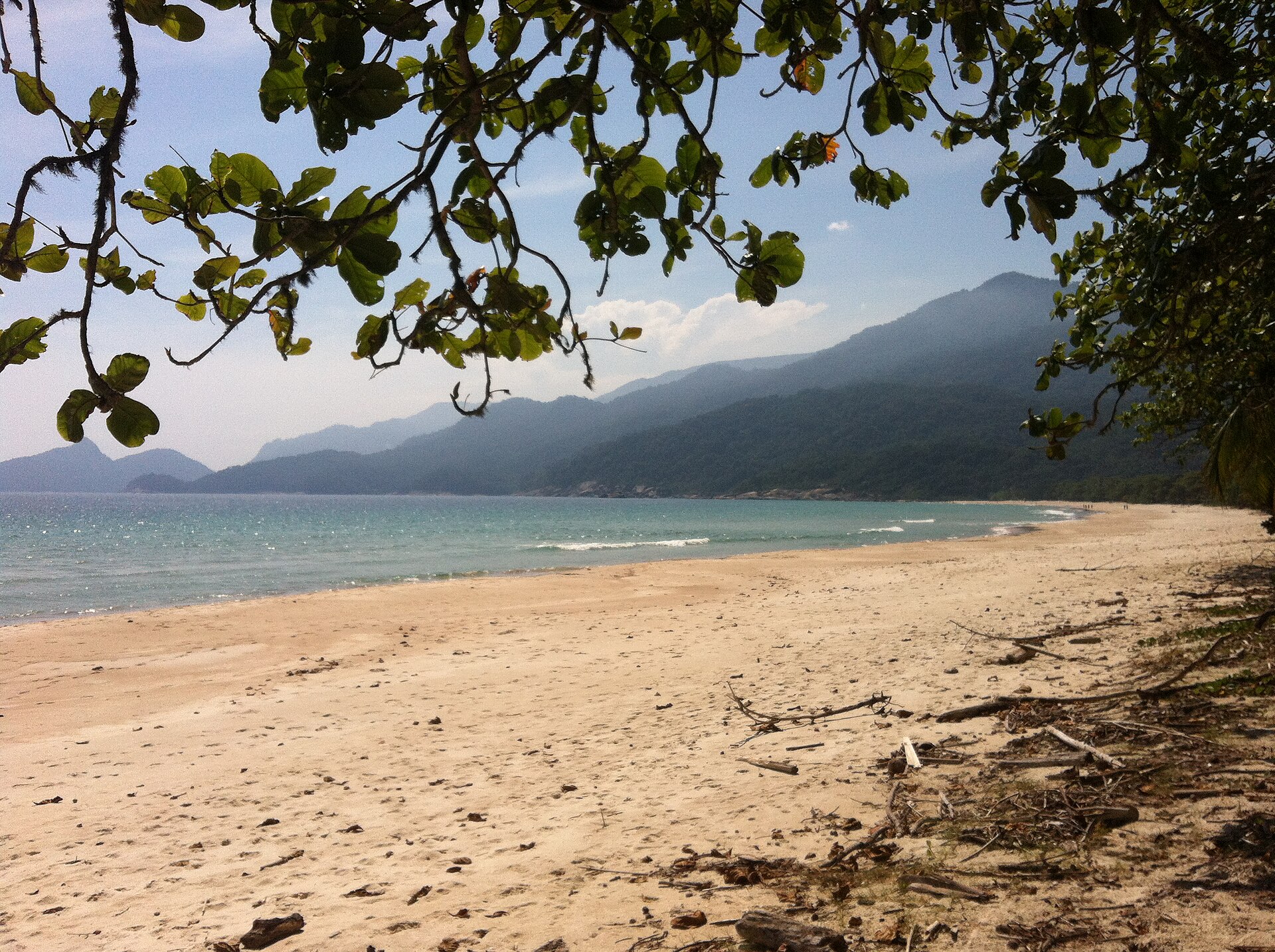 Lopes Mendes