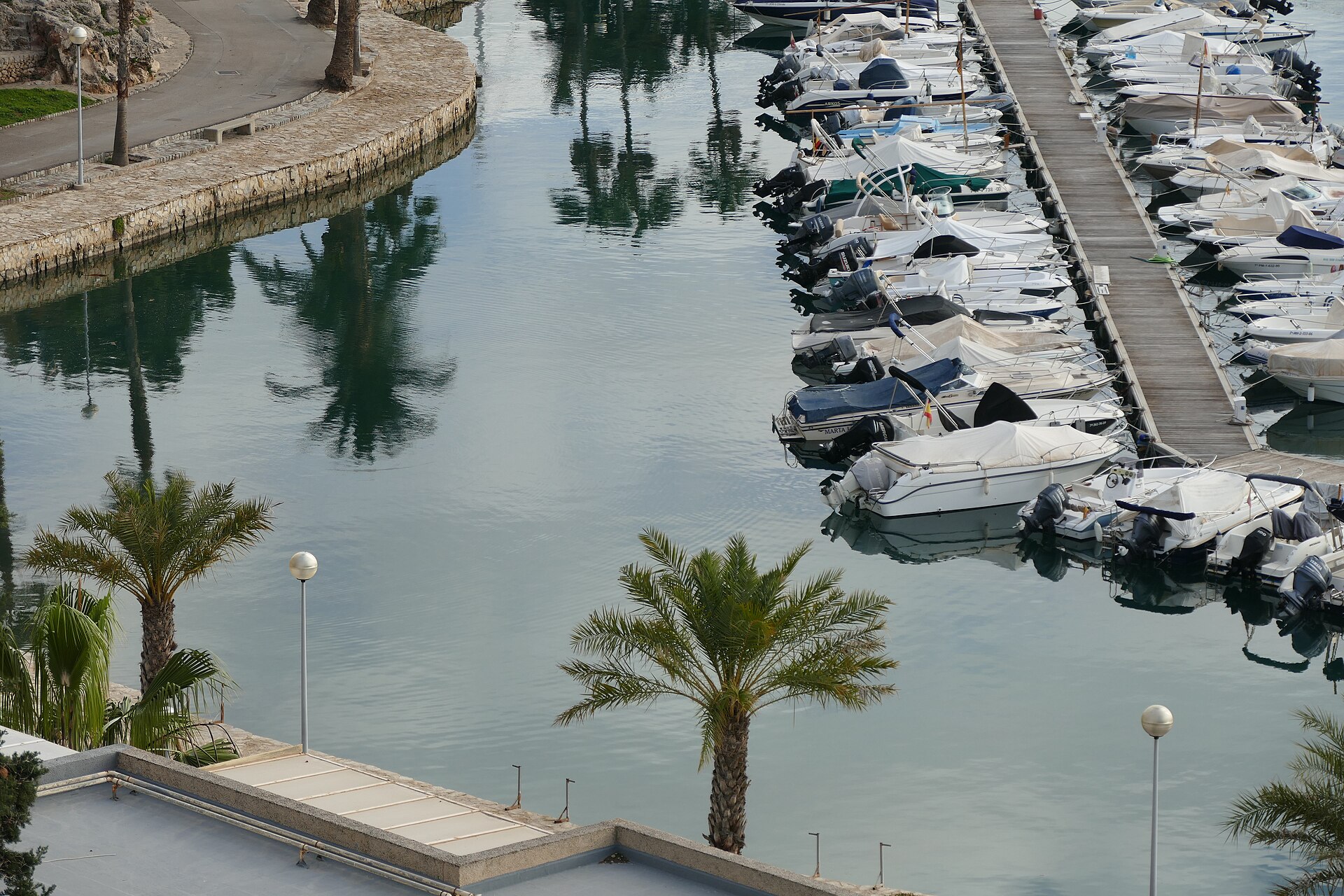 Palma