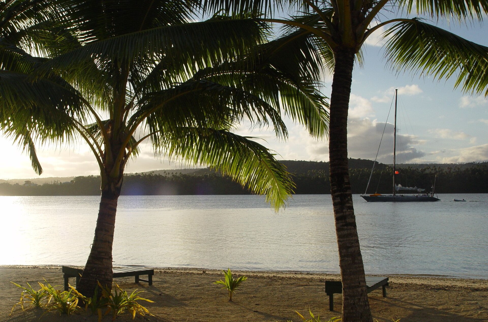 Kenutu