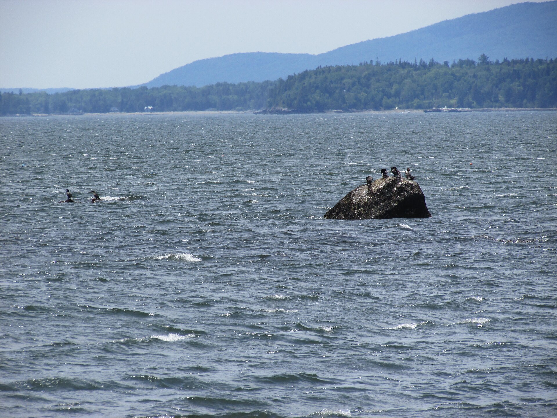 Castine